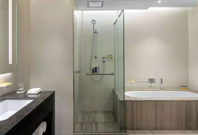 酒店 Hyatt Regency Dubai Creek Heights