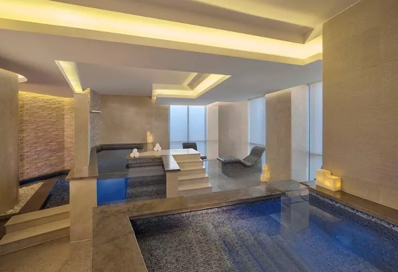 هتل Hyatt Regency Dubai Creek Heights