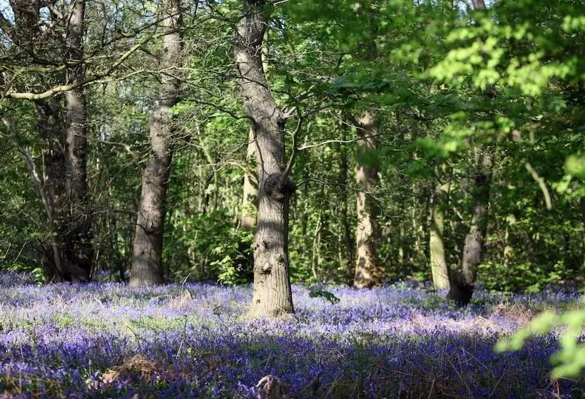 Отель Lifehouse Spa And