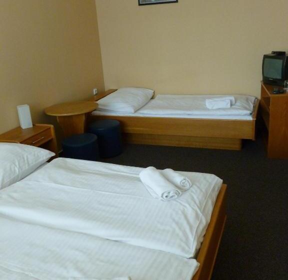 Hotel Penzion šenk Pardubice