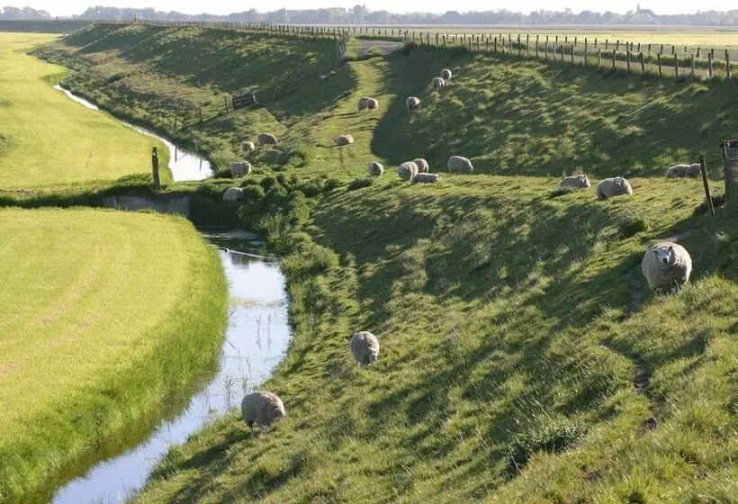 酒店 Huisjes Medemblik