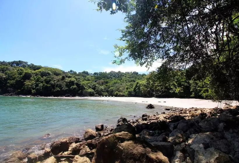 Hotel Shana By The Beach Manuel Antonio