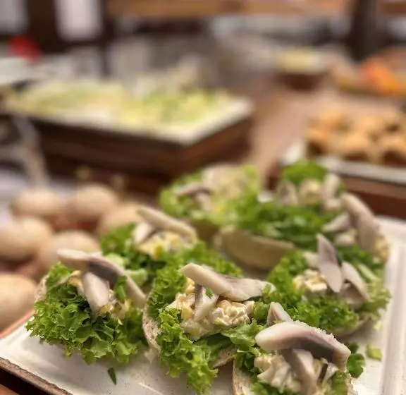 בית מלון כפרי Skarbek