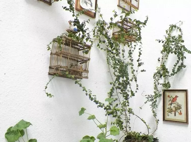 בית מלון כפרי Splendido