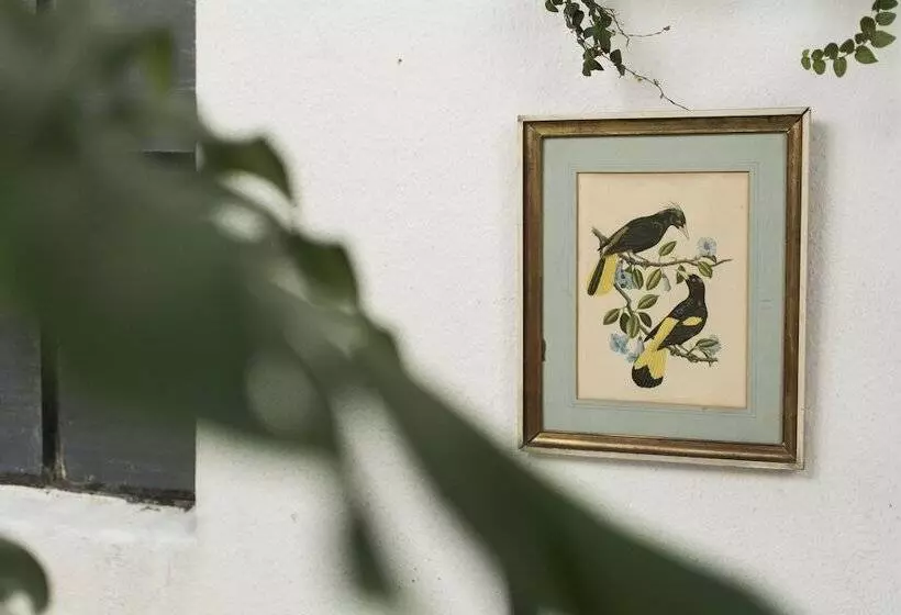 בית מלון כפרי Splendido