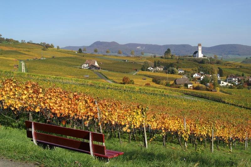 فندق Vienna House By Wyndham Zur Bleiche Schaffhausen