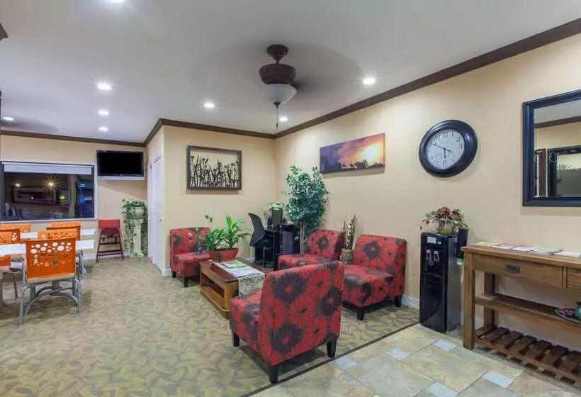 モーテル Super 8 By Wyndham Houston/willowbrook Hwy 249