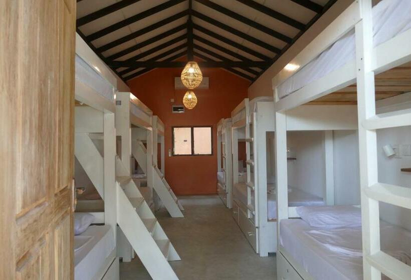 Barefoot Backpackers Hostel