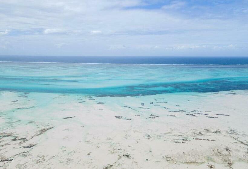 הוסטל Vinney S Lodge