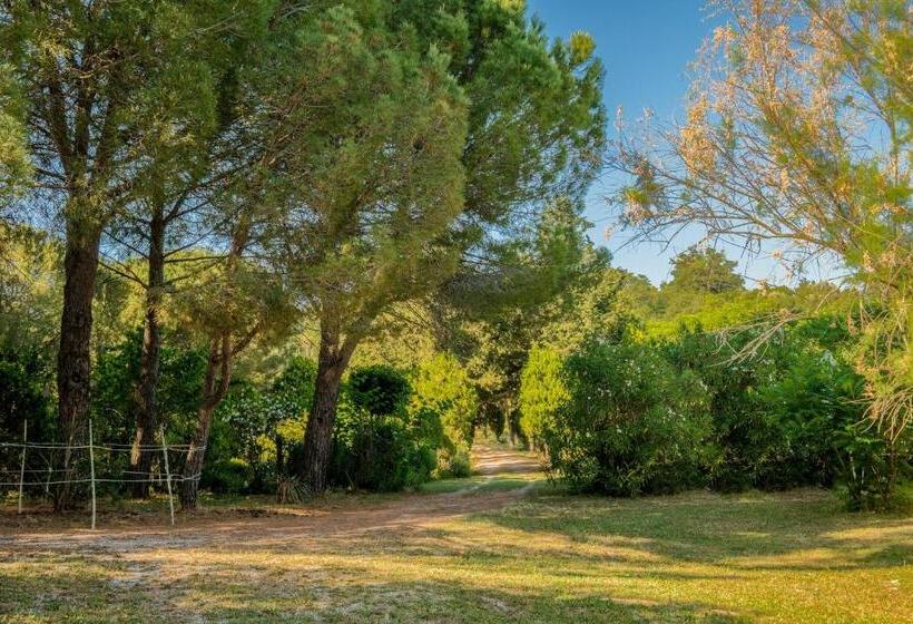 Szálloda Stella Sud Podere Carbone