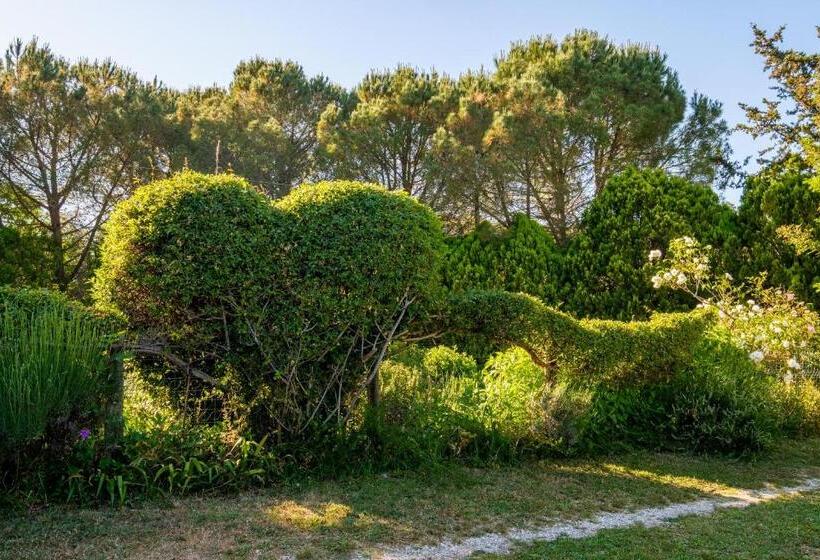 Szálloda Stella Sud Podere Carbone