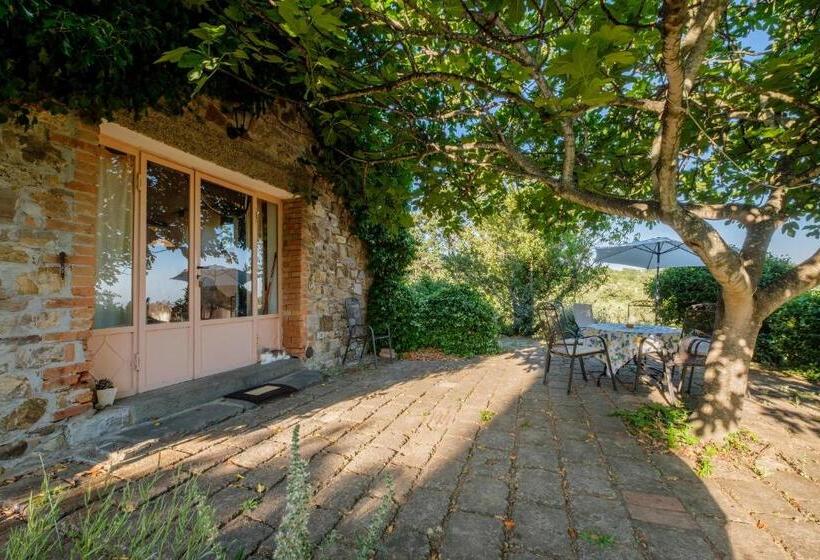 Szálloda Stella Sud Podere Carbone