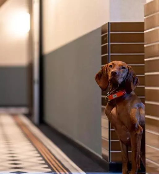 Ocean House Scheveningen