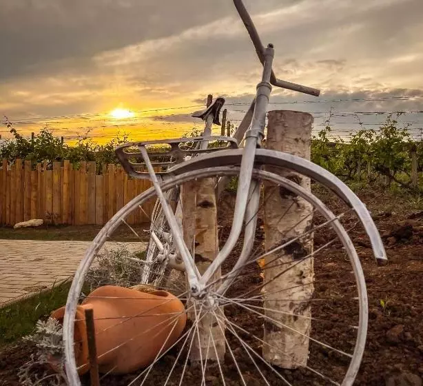 استراحتگاه Shurra