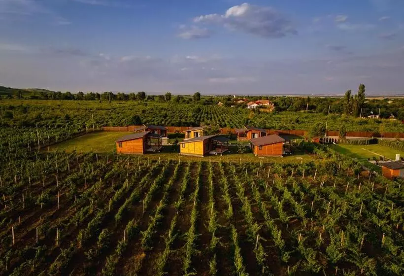 استراحتگاه Shurra