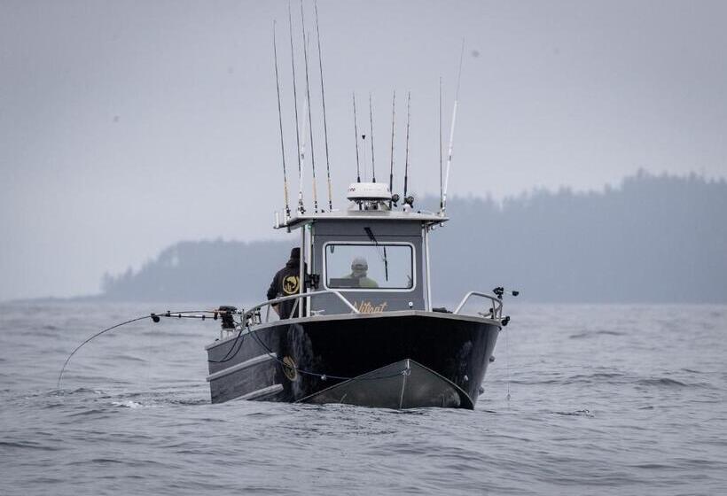 הוסטל The Hiker Huts