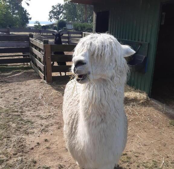 فندق Ferienanlage Zum See