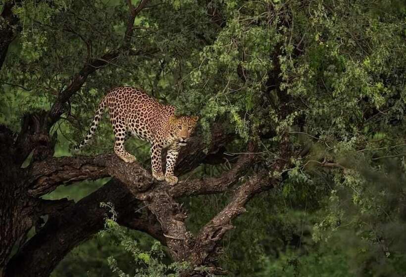 Hotel Hyatt Place Jaipur Malviya Nagar