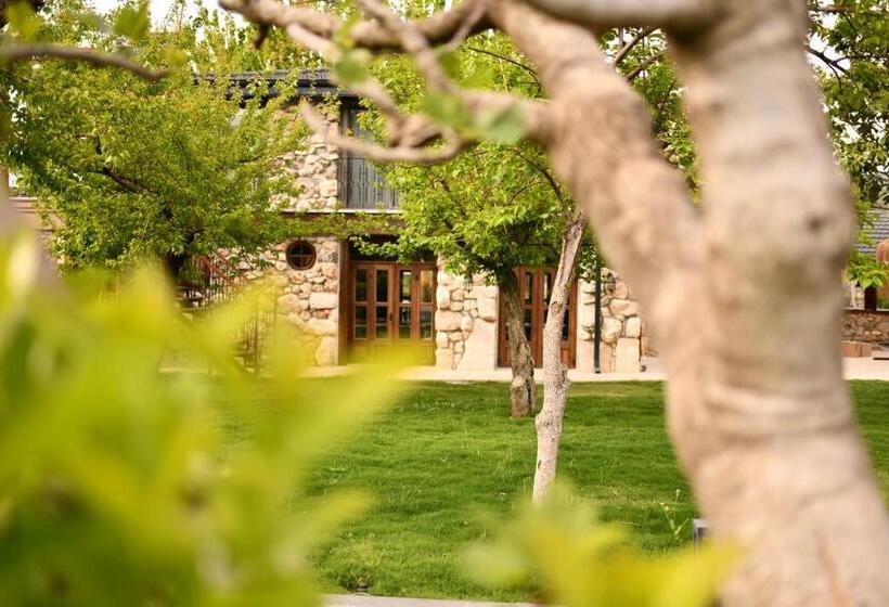 ホテル Kaya Villas Exclusive