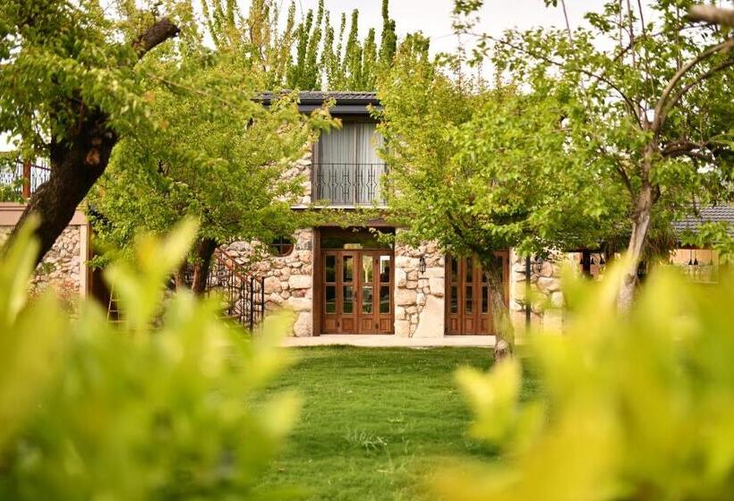 ホテル Kaya Villas Exclusive