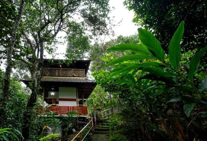 リゾートホテル Chalona Hill View