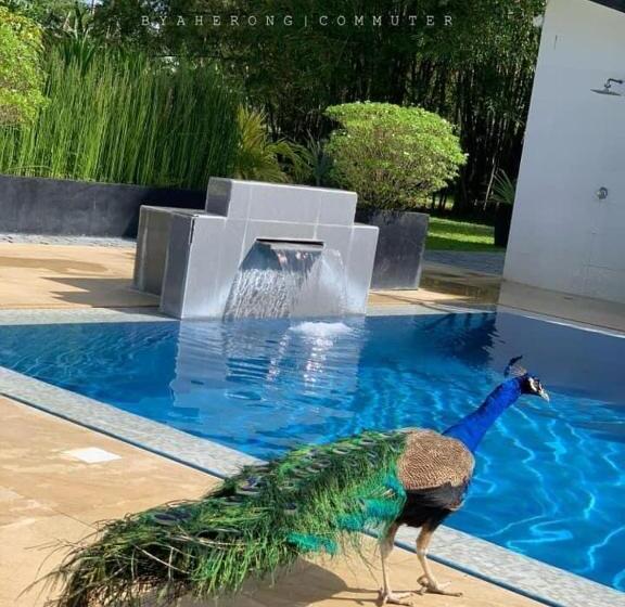 Resort Dreamink Farm Og Myl`s Place