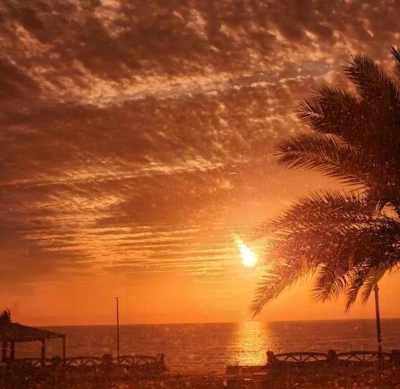 فندق ماس الوجه