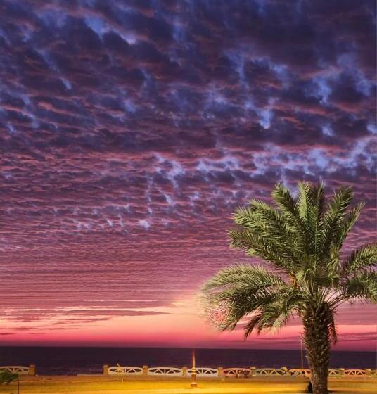 فندق ماس الوجه