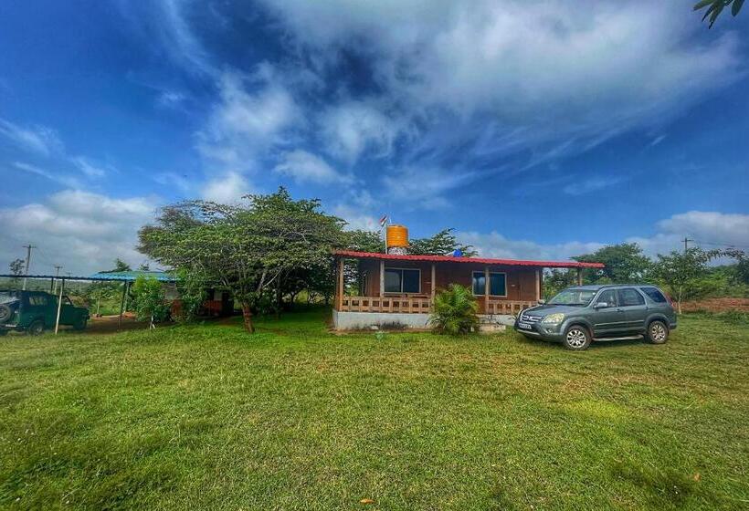 Bed and Breakfast Jungle Trailz Kabini