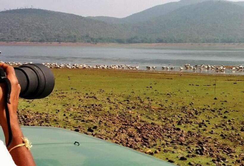 Bed and Breakfast Jungle Trailz Kabini