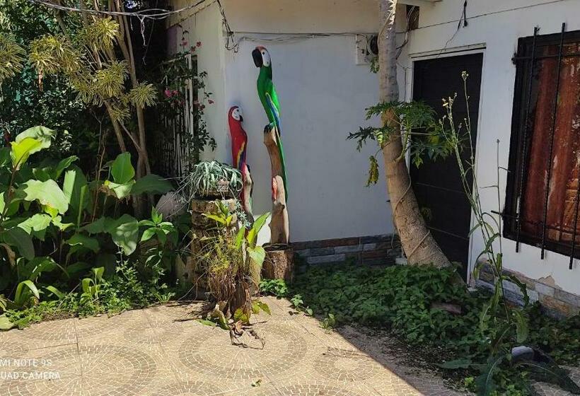 호텔 Hostel Madrigala