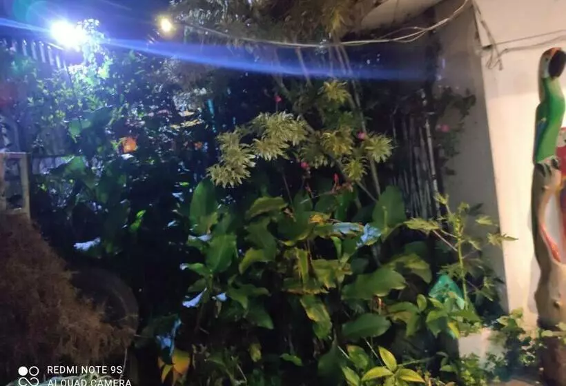ホテル Hostel Madrigala