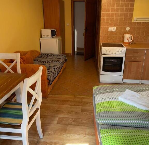 펜션 Penzion Pod Hradbami