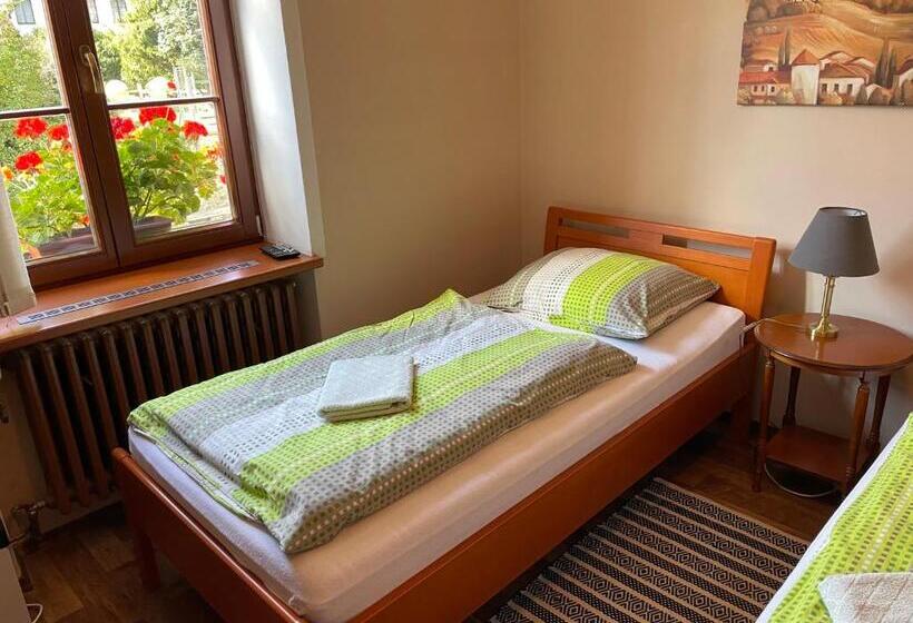 펜션 Penzion Pod Hradbami