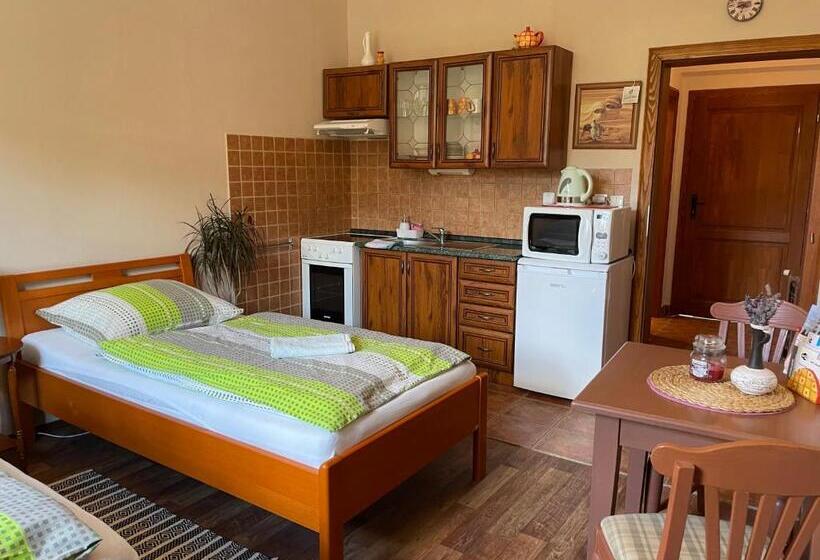 펜션 Penzion Pod Hradbami