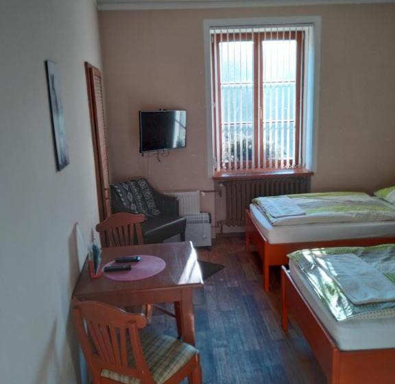 펜션 Penzion Pod Hradbami