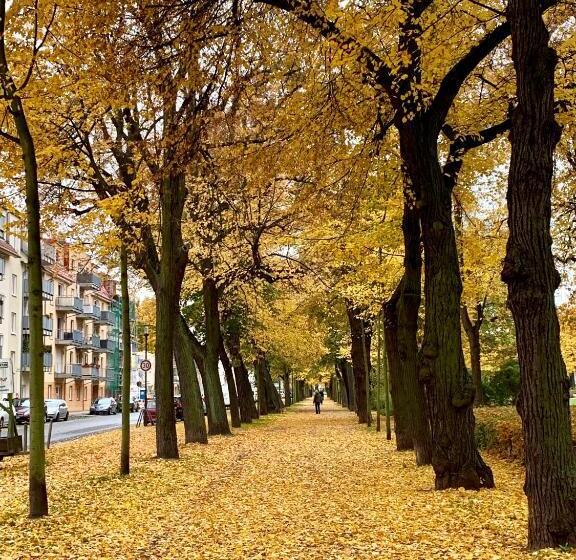 Viadrina Rooms & Apartments Frankfurt Oder Am Park Im Zentrum
