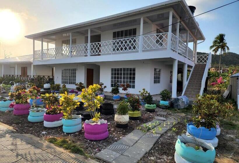 هاستل Posada Sunshine Paradise