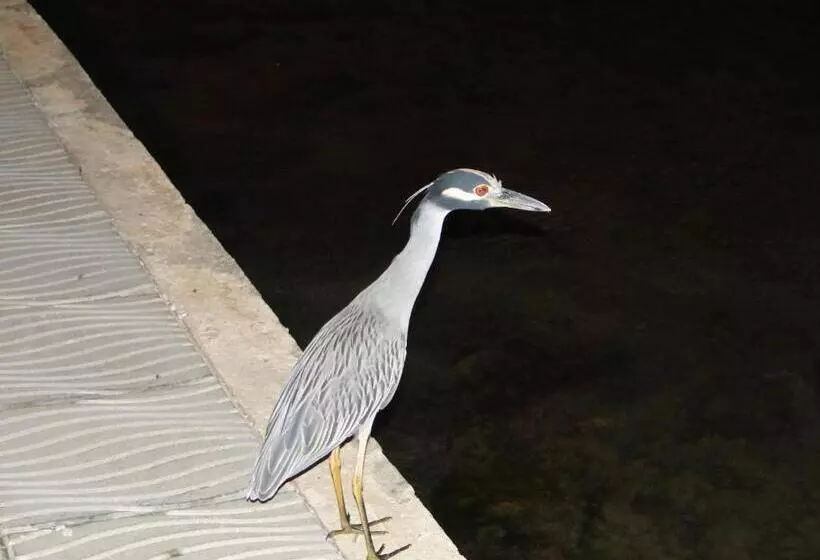 ユースホステル Posada Sunshine Paradise