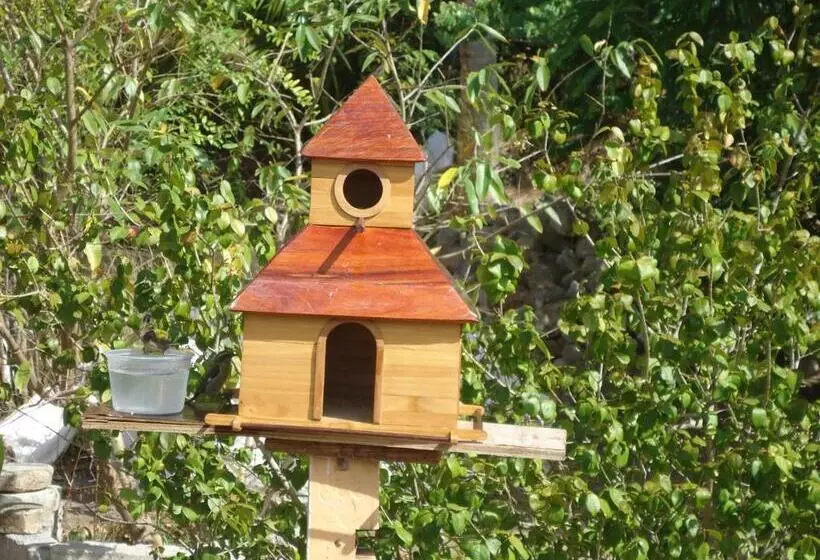 ユースホステル Posada Sunshine Paradise