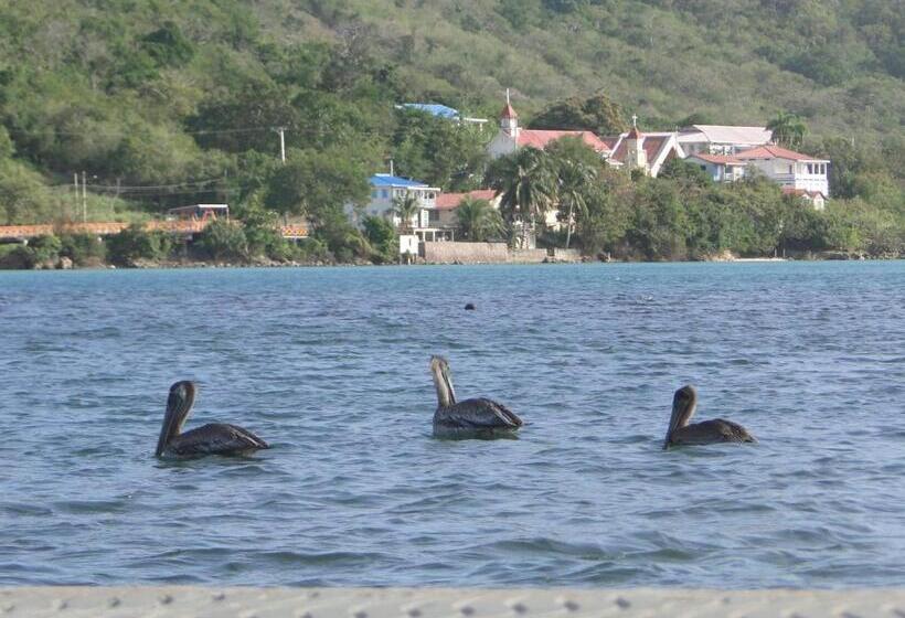 هاستل Posada Sunshine Paradise