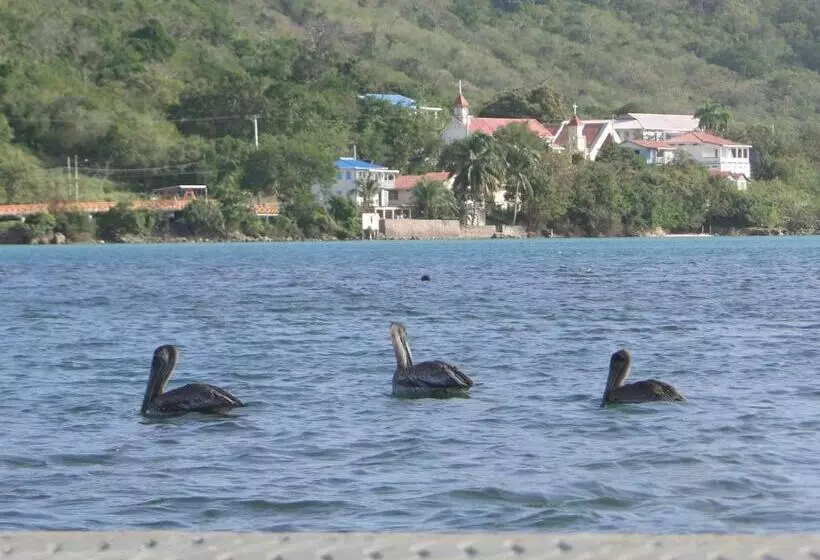 ユースホステル Posada Sunshine Paradise