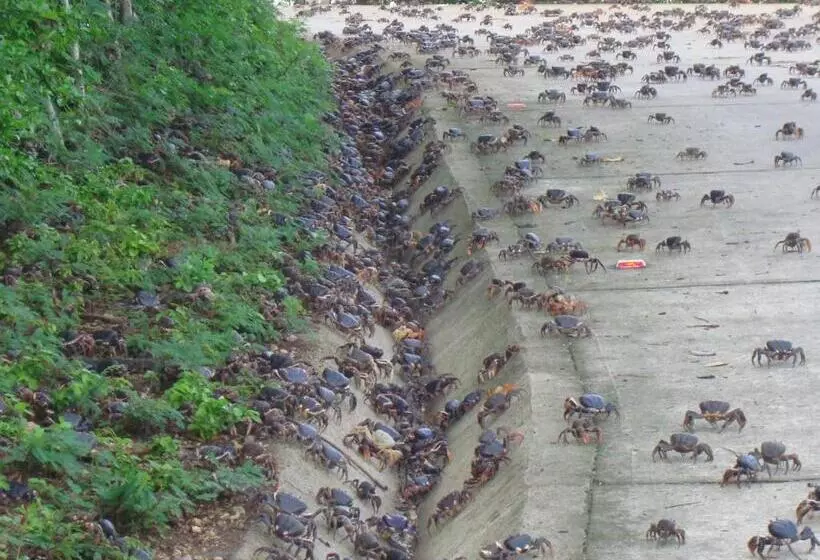 ユースホステル Posada Sunshine Paradise