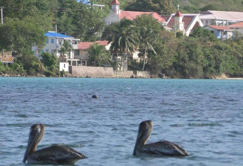 هاستل Posada Sunshine Paradise