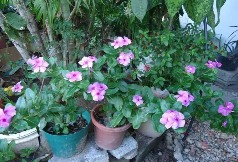 ユースホステル Posada Sunshine Paradise