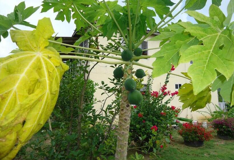 هاستل Posada Sunshine Paradise