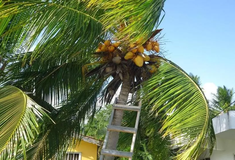 ユースホステル Posada Sunshine Paradise