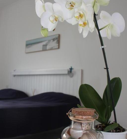 تختخواب و صبحانه One More Night