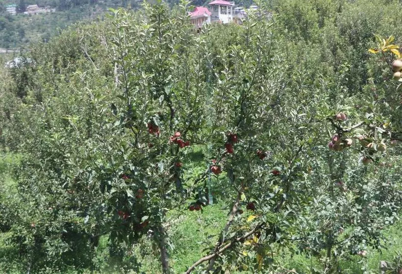 Hotelli Mount Kailash