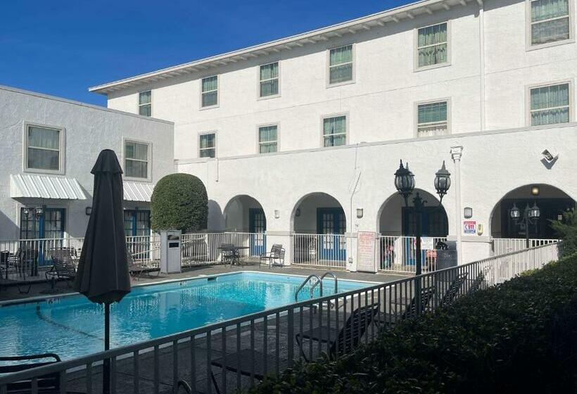 فندق Suites Dallas Tx Downtown